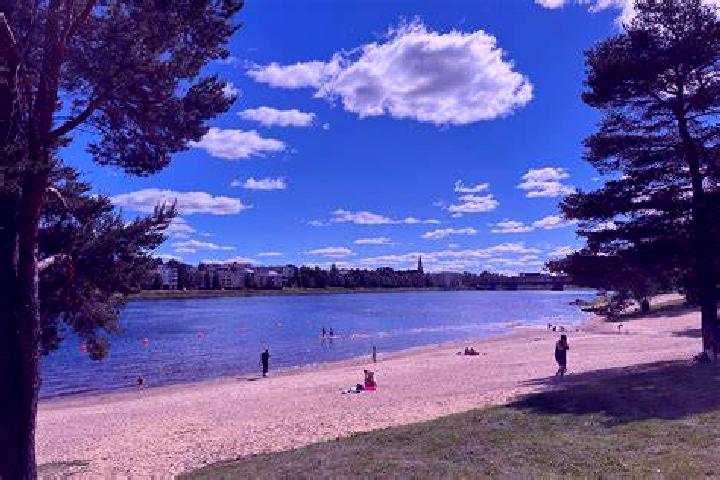Propecia propecia 1 year shedding medication