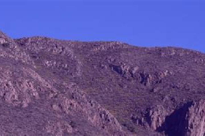 Propecia stephen king propecia medication