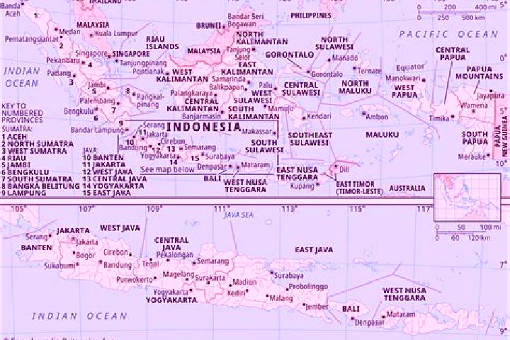 Provigil buy provigil online no prescription pharmacy