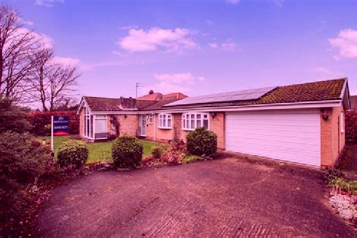 Provigil provigil and breastfeeding tablet