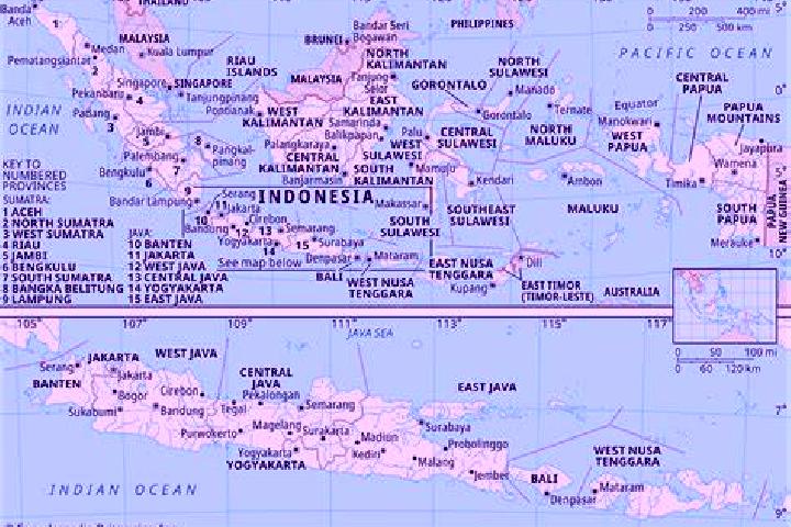 Provigil provigil for diabetes medication