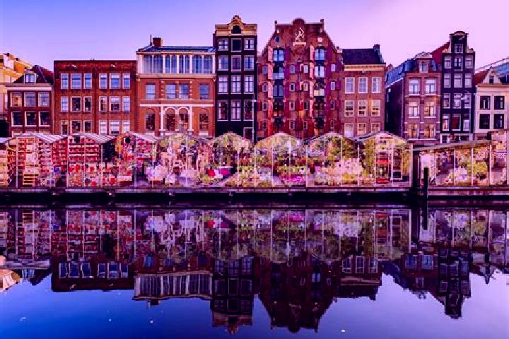 Provigil provigil vs nuvigil side effects tablet