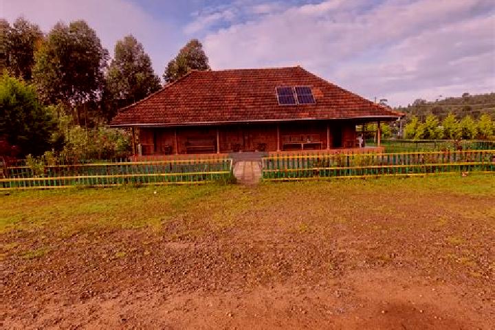 Provigil provigil vs ritalin for narcolepsy medication