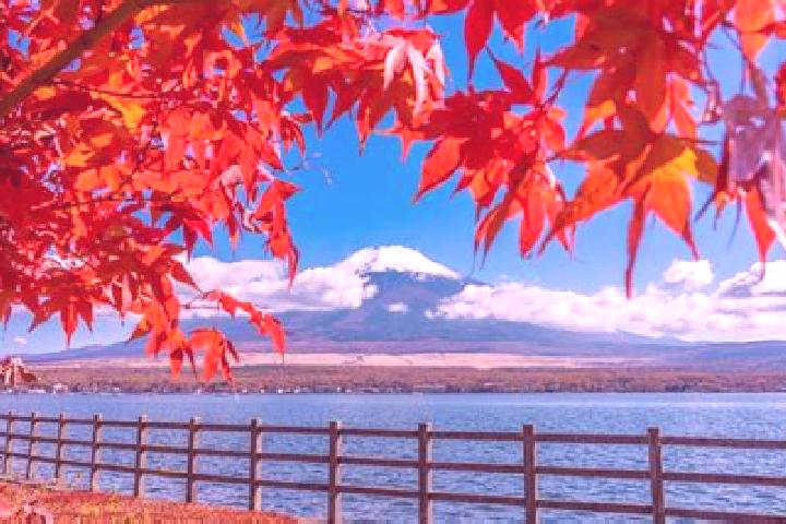 Stromectol stromectol dubai pills