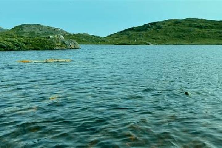 Stromectol where to buy stromectol nz medication