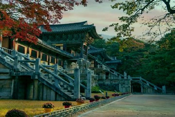 Viagra are there white viagra pills pills