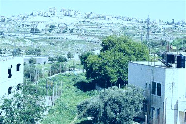 Viagra can you take viagra with beet juice pills