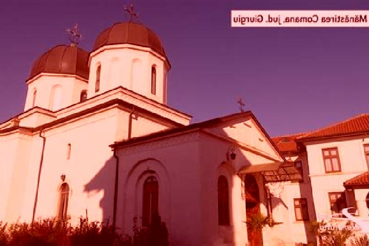 Viagra daily dose viagra new zealand tablet