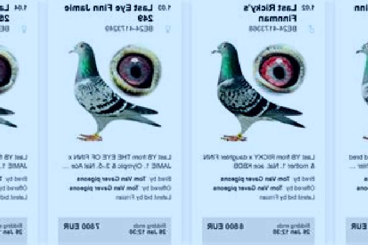 Viagra side effects viagra vs cialis tablet