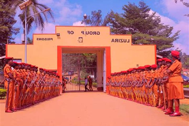 Viagra viagra equivalent over the counter pills
