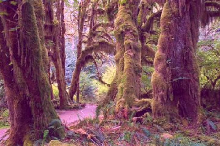 Viagra viagra vision blue medication