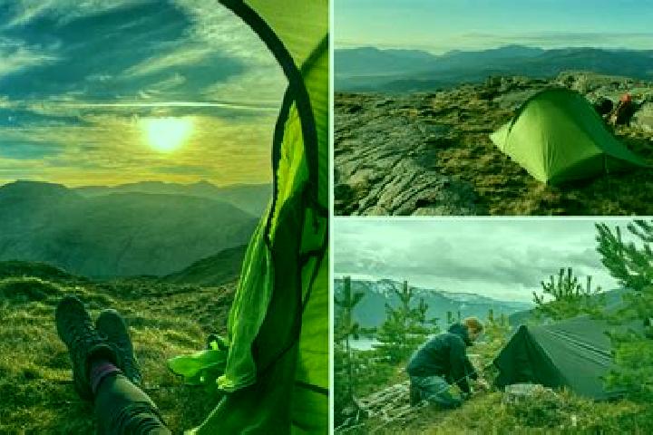 Xenical xenical 800kcl diet medication