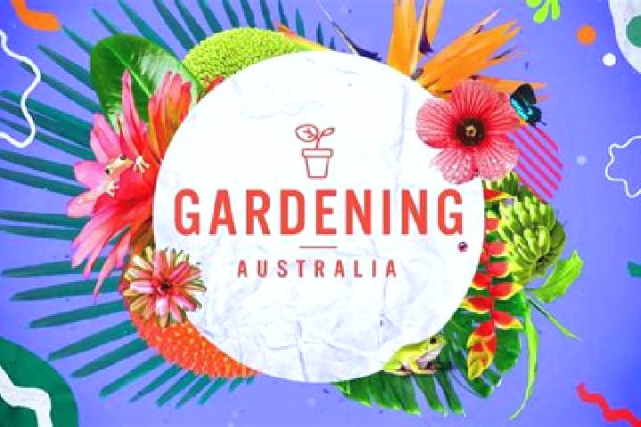 Xenical xenical roch tablet